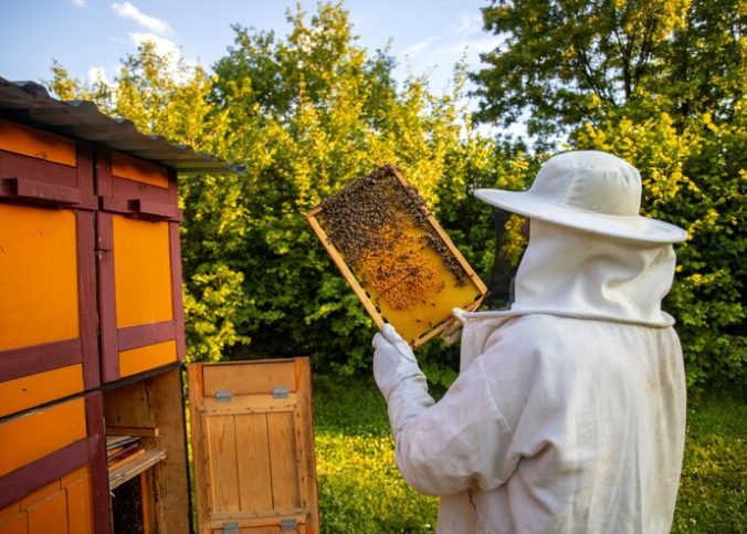 equipamentos para apicultura